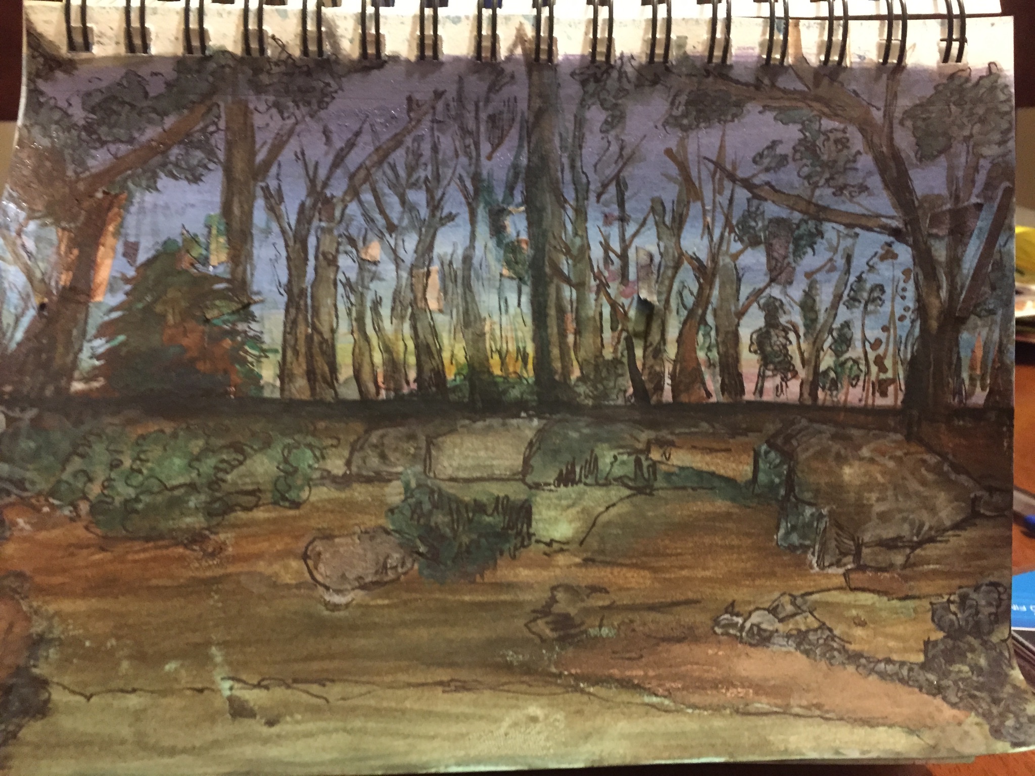 A water color painting of the trees and rocks at the back end of my yard, with ink sketches on top.